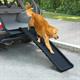AFP Travel Dog - Car Ramp